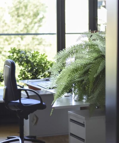 deskplant-1